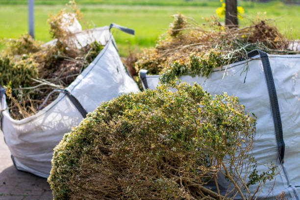  Woodstock, IL Junk Removal Pros